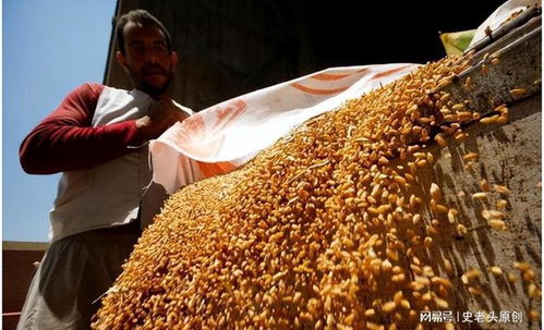 深層戰略還是表象目標？聯合國高官揭露以色列軍事行動的真實意圖