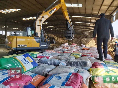 我市集中銷毀8萬斤假劣種子，強化農作物種子市場監管